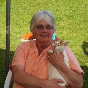 Meet your Posher, Ionamay